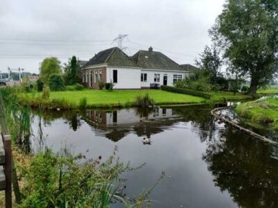 The Suburban Micro-Farm Image